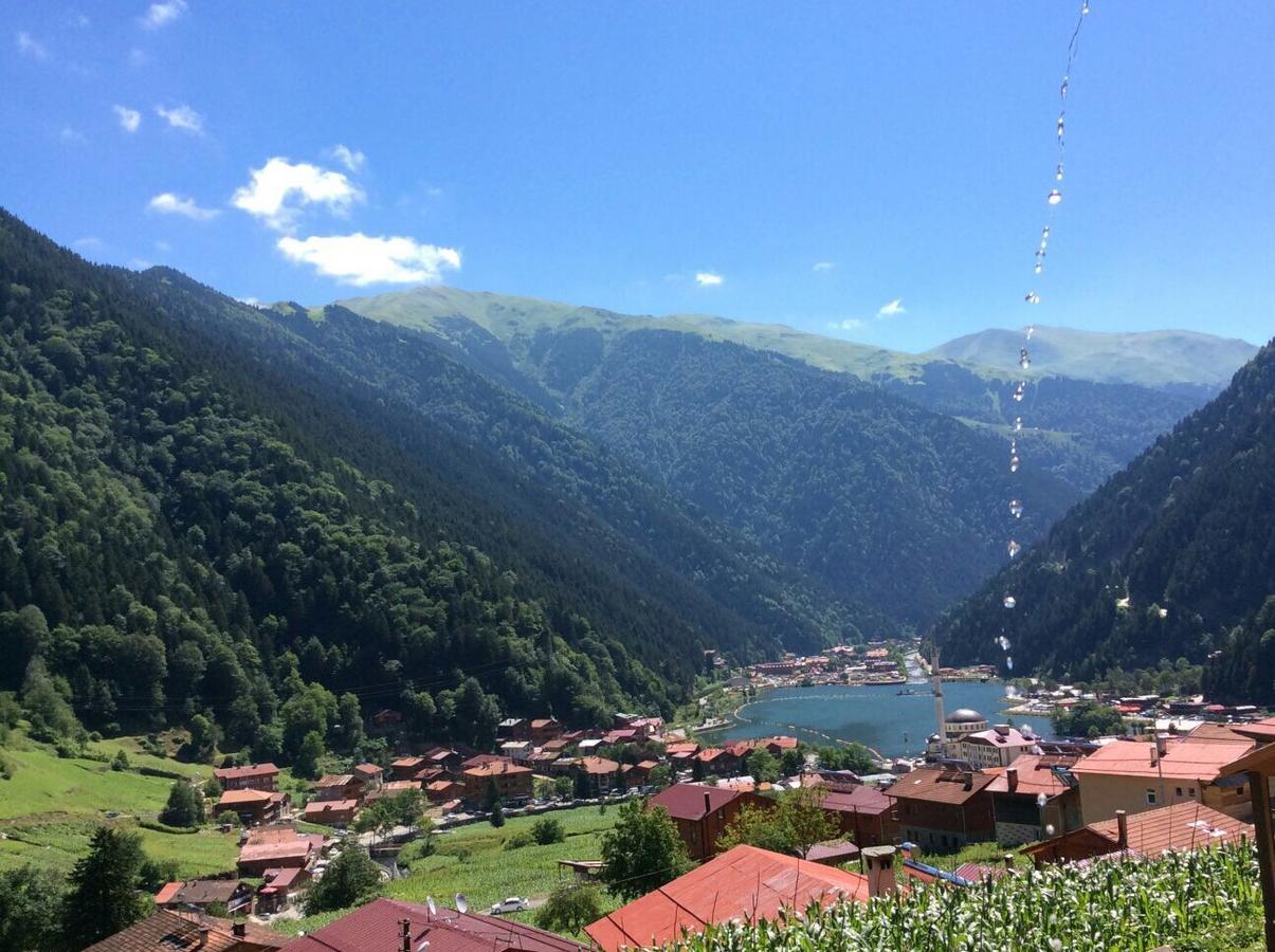 Kuzey Palace Uzungöl Eksteriør bilde
